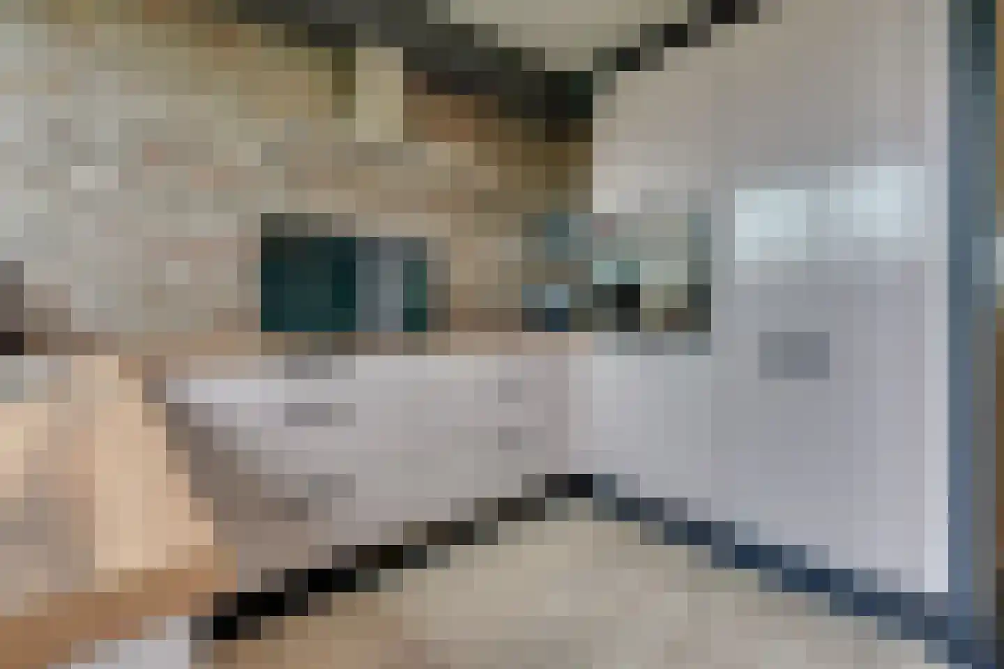 Patmosdreef 146 Utrecht thumbnail 31