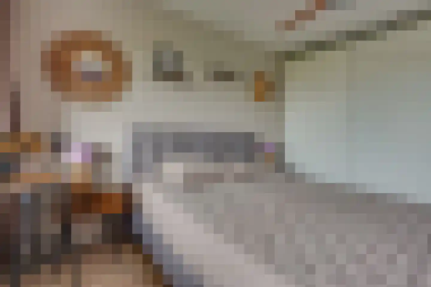 Patmosdreef 146 Utrecht thumbnail 40