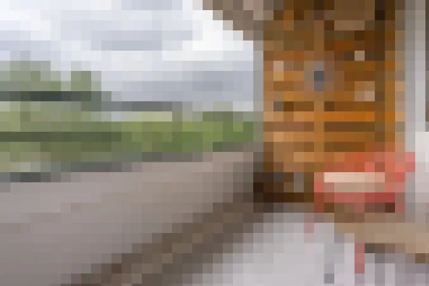Patmosdreef 146 Utrecht thumbnail 42