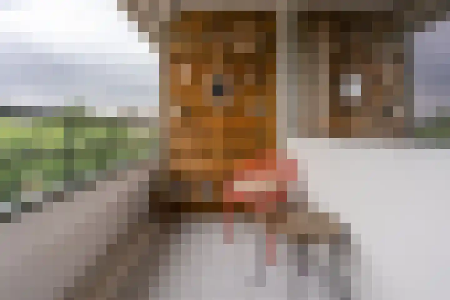 Patmosdreef 146 Utrecht thumbnail 43
