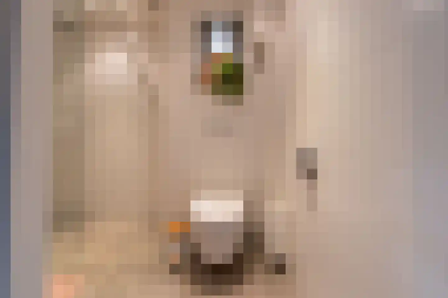 Patmosdreef 146 Utrecht thumbnail 53