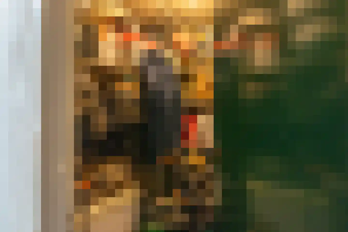 Patmosdreef 146 Utrecht thumbnail 61
