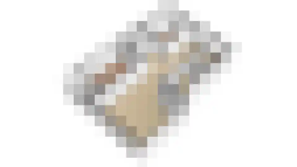 Patmosdreef 146 Utrecht thumbnail 63