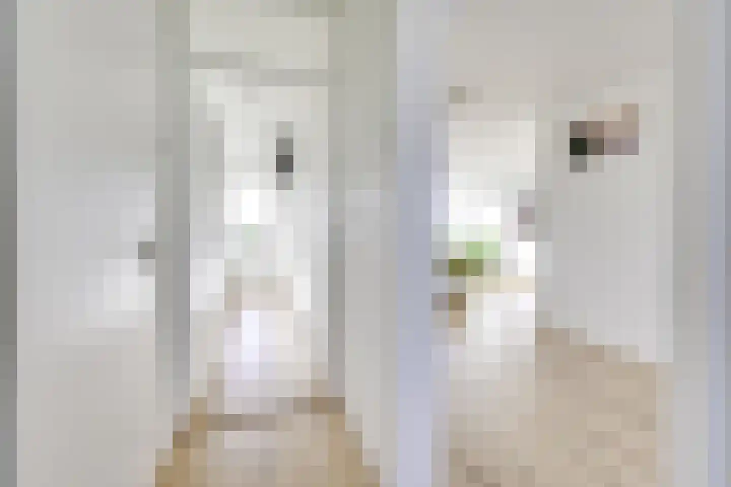 Patmosdreef 152 Utrecht thumbnail 16