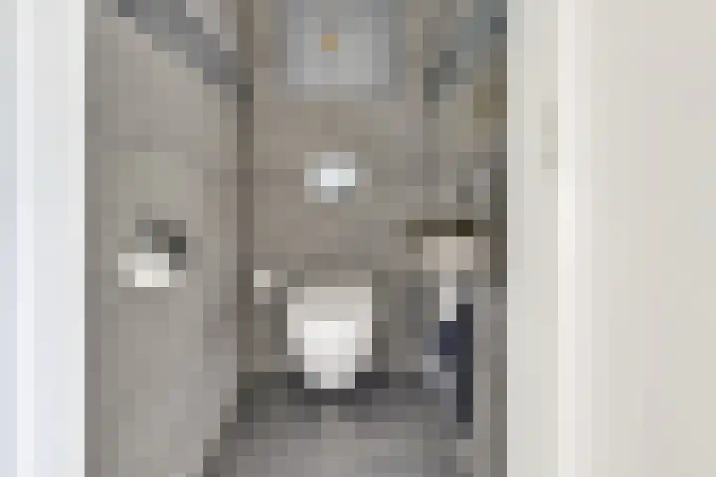 Patmosdreef 152 Utrecht thumbnail 22