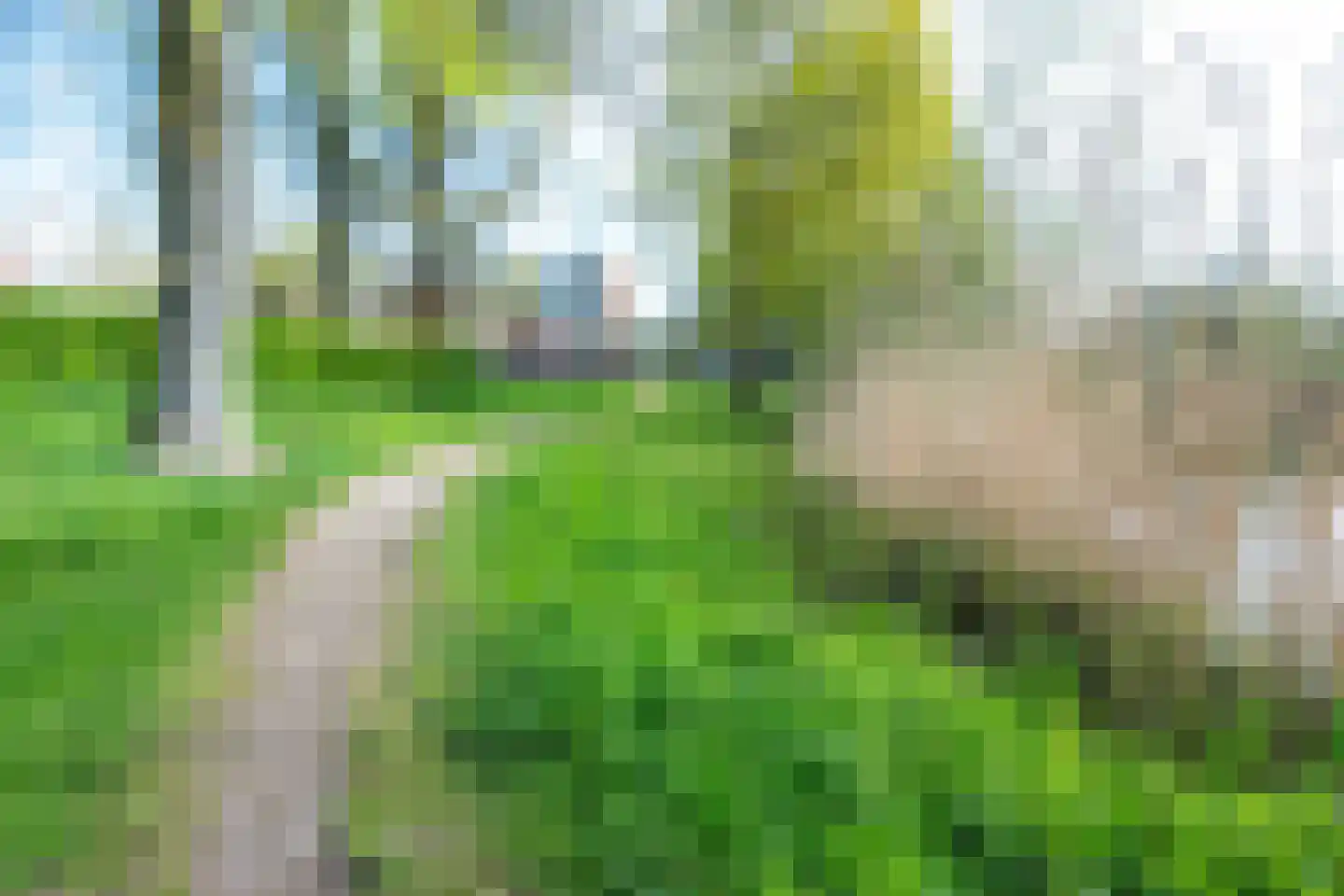 Patmosdreef 152 Utrecht thumbnail 34