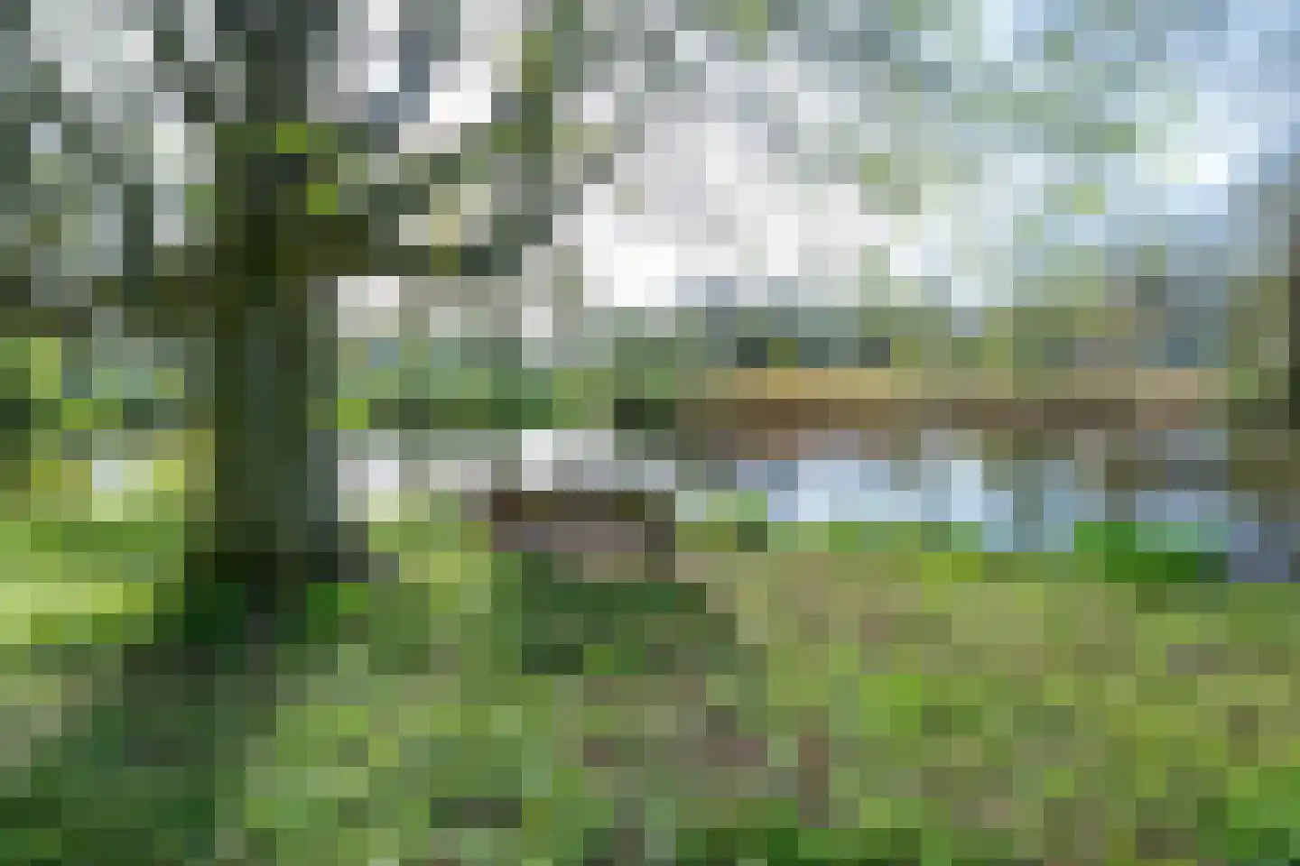 Patmosdreef 152 Utrecht thumbnail 35