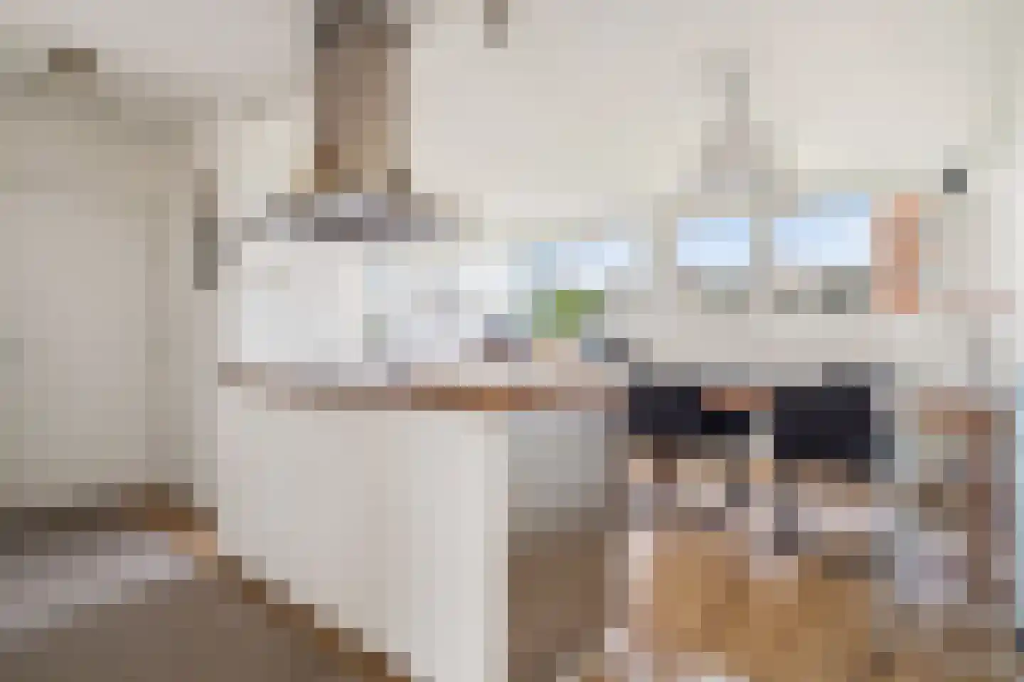 Patmosdreef 16 Utrecht thumbnail 6