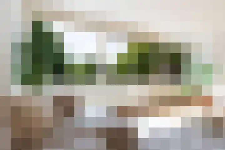 Patmosdreef 98 Utrecht thumbnail 13