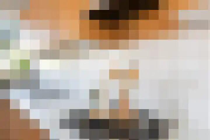 Patmosdreef 98 Utrecht thumbnail 17