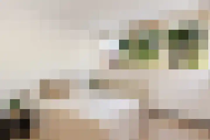 Patmosdreef 98 Utrecht thumbnail 19
