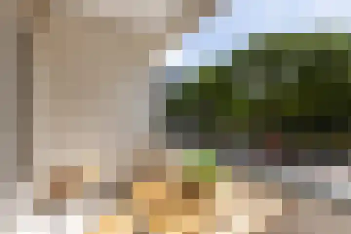 Patmosdreef 98 Utrecht thumbnail 27