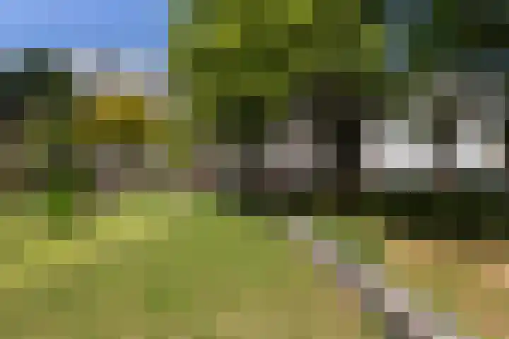 Patmosdreef 98 Utrecht thumbnail 30