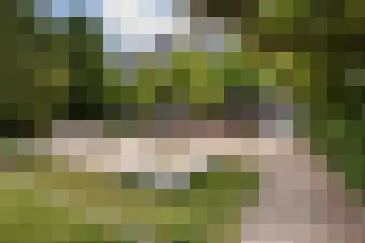 Patmosdreef 98 Utrecht thumbnail 31