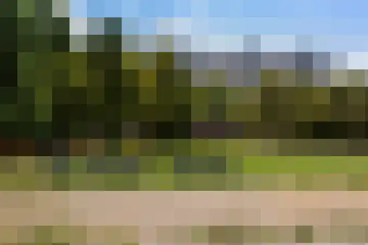Patmosdreef 98 Utrecht thumbnail 33