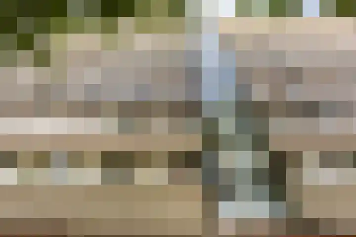 Patmosdreef 98 Utrecht thumbnail 4