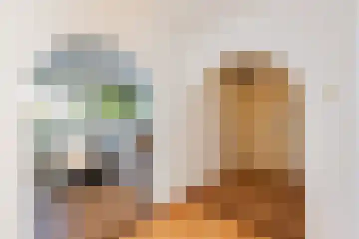 Patmosdreef 98 Utrecht thumbnail 8
