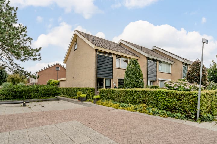 Patrijs 1 in Ursem photo