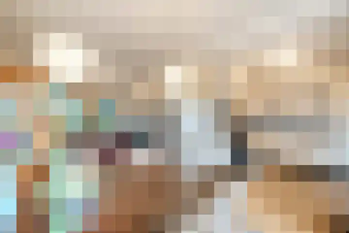 Patrijs 1 Ursem thumbnail 12