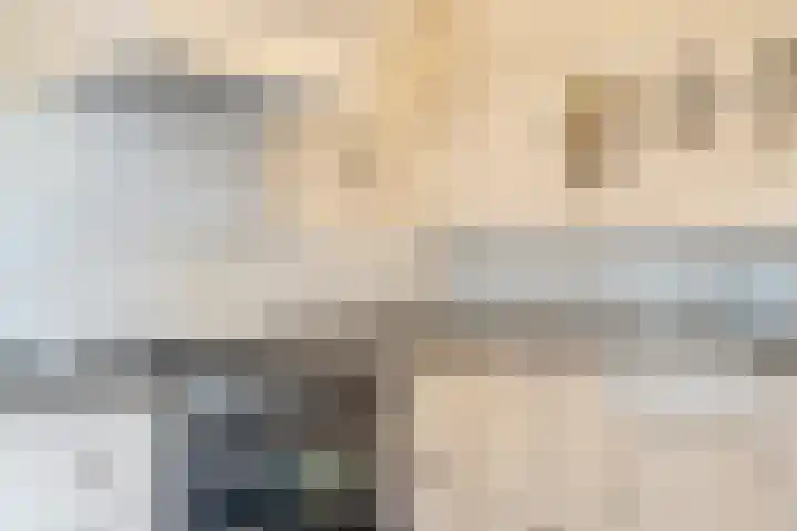 Patrijs 1 Ursem thumbnail 13
