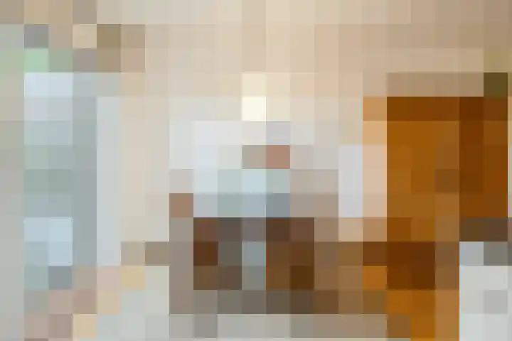 Patrijs 1 Ursem thumbnail 15