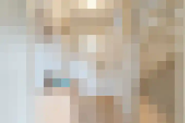 Patrijs 1 Ursem thumbnail 21