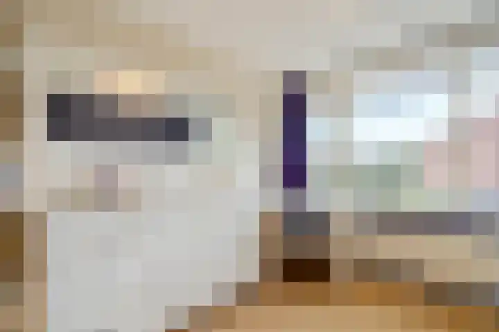 Patrijs 1 Ursem thumbnail 28