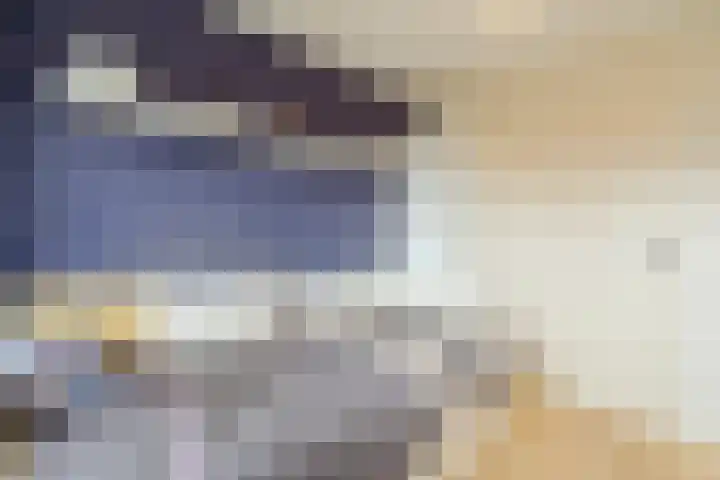 Patrijs 1 Ursem thumbnail 29