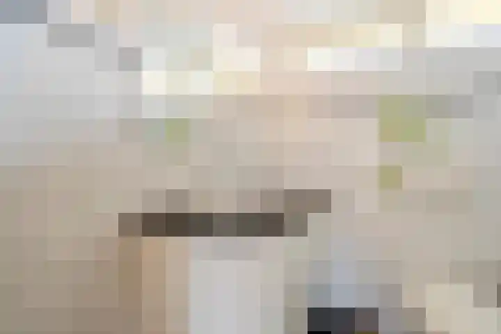 Patrijs 1 Ursem thumbnail 30