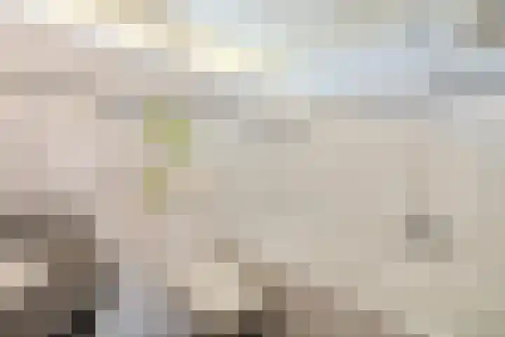 Patrijs 1 Ursem thumbnail 31