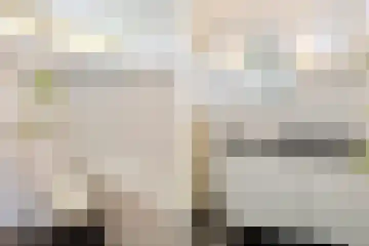 Patrijs 1 Ursem thumbnail 32