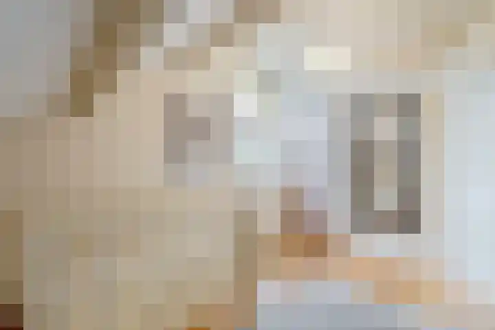 Patrijs 1 Ursem thumbnail 33