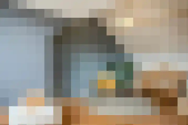 Patrijs 1 Ursem thumbnail 35