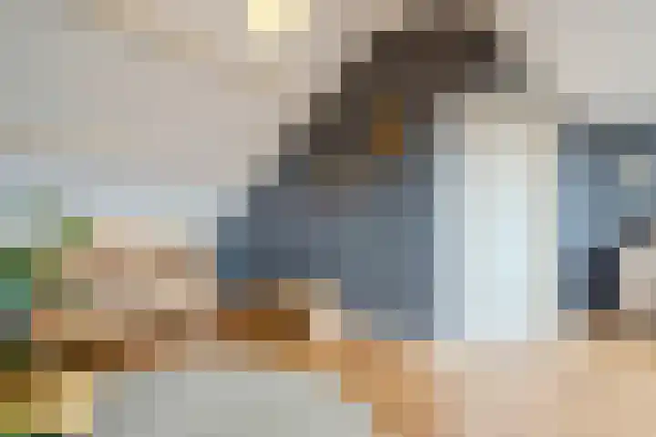 Patrijs 1 Ursem thumbnail 38