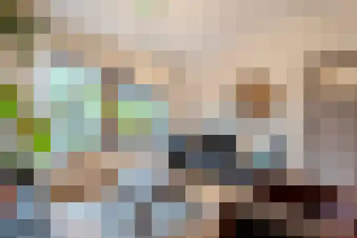 Patrijs 1 Ursem thumbnail 4