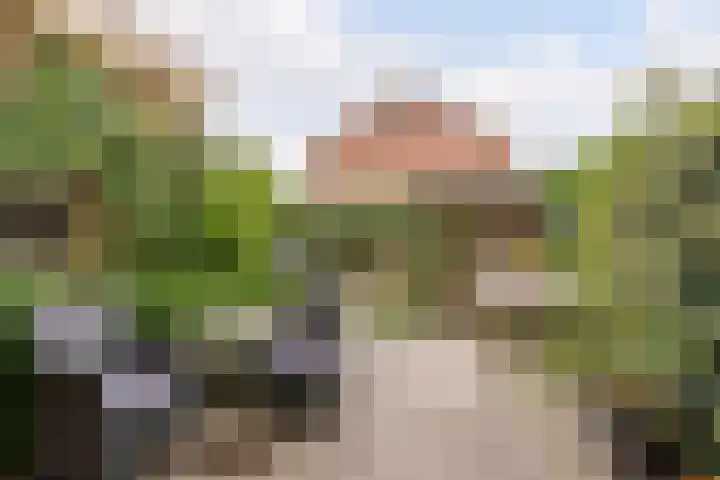Patrijs 1 Ursem thumbnail 41