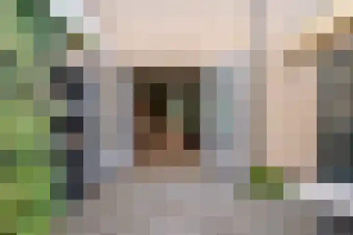 Patrijs 1 Ursem thumbnail 43