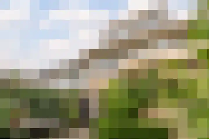 Patrijs 1 Ursem thumbnail 46