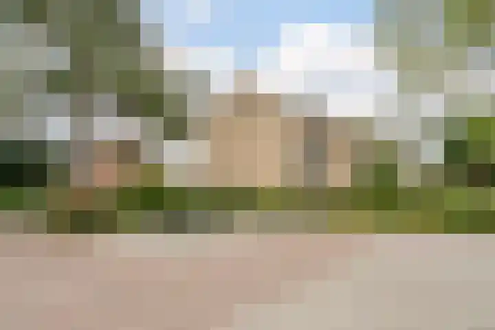 Patrijs 1 Ursem thumbnail 49
