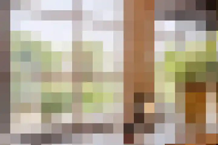 Patrijs 1 Ursem thumbnail 5