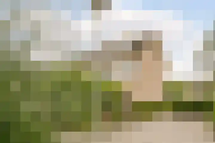 Patrijs 1 Ursem thumbnail 50
