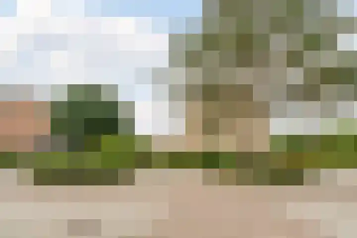 Patrijs 1 Ursem thumbnail 51