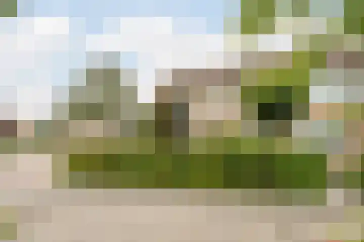 Patrijs 1 Ursem thumbnail 53