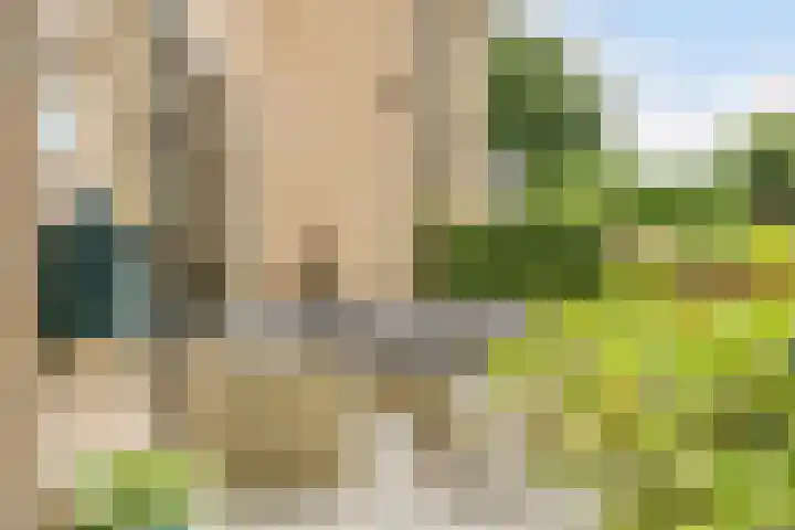 Patrijs 1 Ursem thumbnail 54