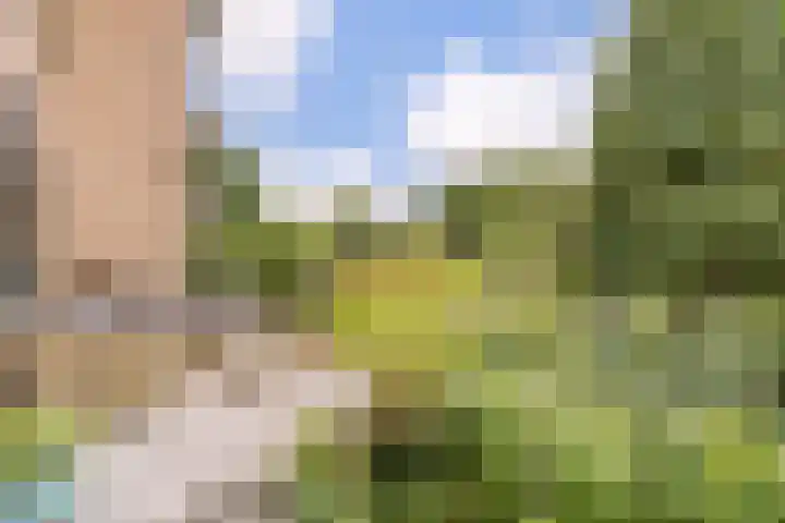 Patrijs 1 Ursem thumbnail 55
