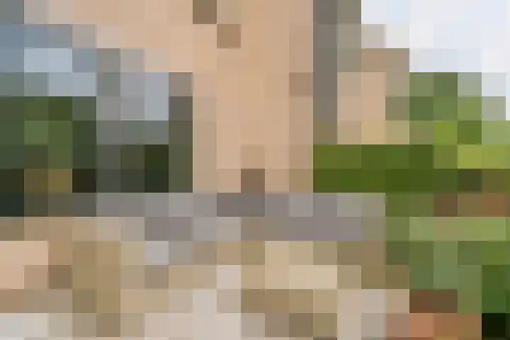 Patrijs 1 Ursem thumbnail 56