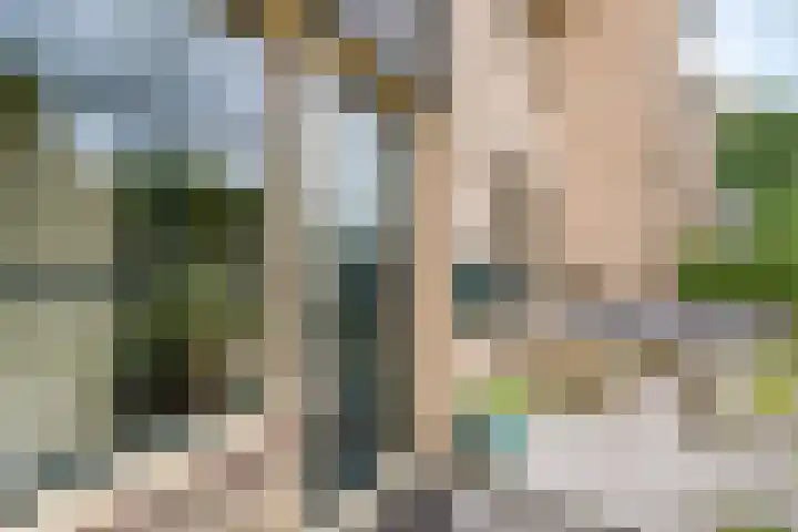 Patrijs 1 Ursem thumbnail 58