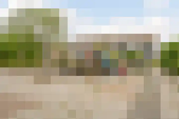 Patrijs 1 Ursem thumbnail 59