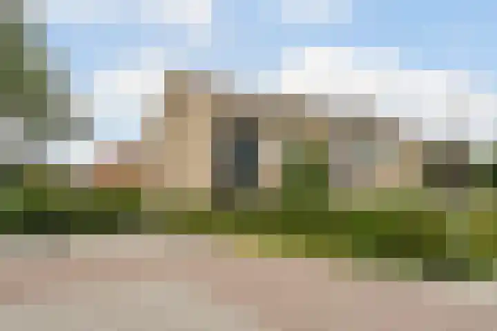 Patrijs 1 Ursem thumbnail 65