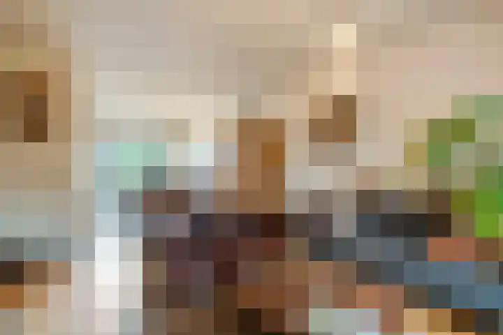 Patrijs 1 Ursem thumbnail 7